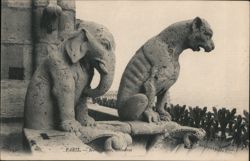 Gargoyles of Notre Dame Cathedral, Paris Postcard