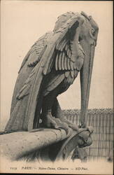 Notre Dame Chimera Gargoyle, Paris Postcard