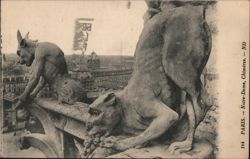 Gargoyles of Notre Dame Cathedral, Paris Postcard