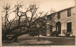 Keats' House, Wentworth Place, Hampstead: Old Mulberry Tree Postcard