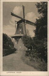 Loppersum Molen Windmill Postcard