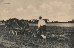 Friesland Farmer Plowing Field with Two Horses Postcard