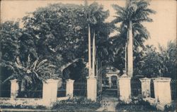 Cuban Residence with Gate and Palm Trees Postcard