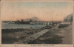 Muelle Fiscal Pier, Mazatlan, Sinaloa, Mexico Postcard