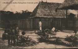 Indigenous People Weaving Straw in the Amazon, Brazil Postcard