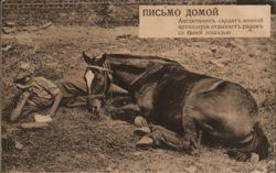 WWI British Soldier Rests with Horse, "Letter Home" Postcard