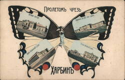 Harbin Butterfly Montage: Public Library, Hospital, Train Station & Bank Postcard