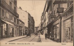 Avenue des Iles d'Or, Hyères, France Postcard