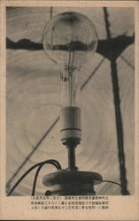 Large Incandescent Light Bulb Display Postcard