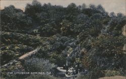 Hamurana Springs, New Zealand: Boating Amidst Lush Greenery Postcard