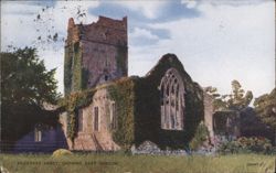 Muckross Abbey East Window, Killarney, Ireland Postcard