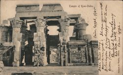 Temple of Kom-Ombo Hypostyle Hall Columns Postcard