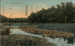 Coconut Raft on River, Philippines Postcard