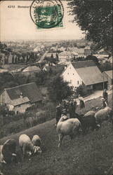 Boncourt, Switzerland: Sheep Grazing with Village View Postcard