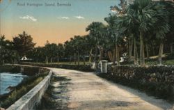 Road Harrington Sound, Bermuda Postcard