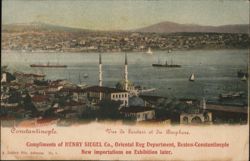 Scutari and Bosphorus, Constantinople Postcard