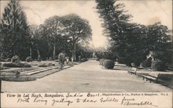 Lal Bagh Botanical Gardens Pathway, Bangalore, India Postcard