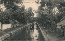 Negombo Canal, Ceylon with Boat, Passengers, and Lush Greenery Postcard