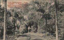 Jardim Antonio Borges Park, Ponta Delgada, Azores Postcard