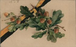 Oak Branch with Acorns and Black and Gold Ribbon Postcard