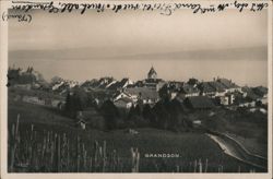 Grandson, Switzerland: Scenic View with Vineyards and Lake Neuchâtel Postcard