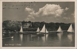 Sailboats on Lake Geneva at Beau Rivage, Ouchy Postcard