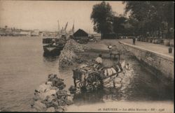 Les Allées Marines, Bayonne, France - Horse-Drawn Cart Postcard