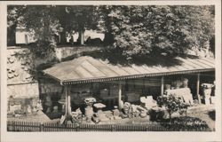 Roman Antiquities at Avenches Museum, Switzerland Postcard