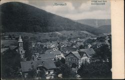 Herrenalb Schwarzwald Germany Town View Postcard