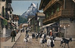 Zermatt Goat Herd Returning, Grand Hotel Beau-Site Postcard