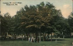 Bowdoin College Campus, Brunswick, ME Postcard