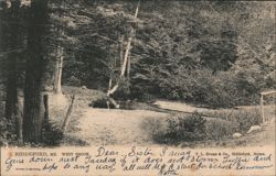 West Brook, Biddeford, Maine Postcard Postcard Postcard