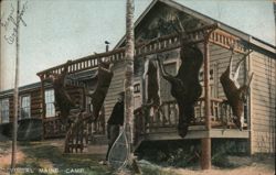 Typical Maine Camp with Hunter and Deer Hunting Postcard Postcard Postcard