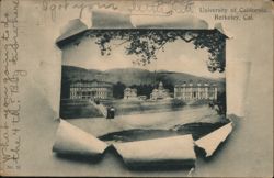 University of California, Berkeley, California Postcard