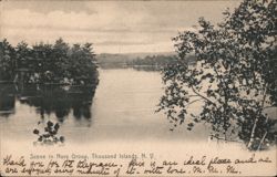 Scene in Navy Group, Thousand Islands Postcard