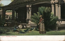 Princess Kaiulani with Peacocks Multiple Animals Postcard Postcard Postcard