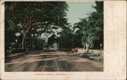 Nuuanu Avenue, Honolulu Hawaii Postcard Postcard Postcard