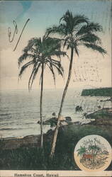 Hamakua Coast, Hawaii Postcard