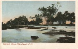 Coconut Island, Hilo, Hawaii Postcard Postcard Postcard