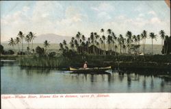 Waikea River, Mauna Kea in distance, 14000 ft. Altitude Hawaii Postcard Postcard Postcard