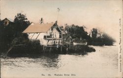 Wailuku River Hilo Hawaii Postcard Postcard Postcard