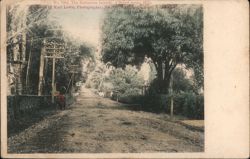 Japanese: A Street Scene, Hilo, The Hawaiian Islands Postcard Postcard Postcard