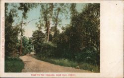 Road to the Volcano, Near Hilo, Hawaii Postcard Postcard Postcard