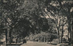 Delaware Avenue From the McKinley Monument, Buffalo, NY Postcard