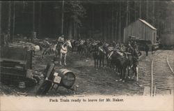 Pack Train Ready to Leave for Mt. Baker Postcard