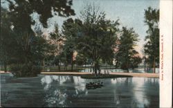 Scene in White Park, Concord, NH Postcard