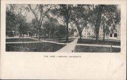 The Yard - Harvard University Postcard