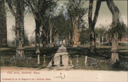 Elm Arch, Andover, MA Massachusetts Postcard Postcard Postcard