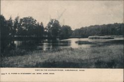 View on the Charles River, Auburndale, MA Massachusetts Postcard Postcard Postcard