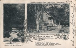 Moonhaw, Wittenberg Park, Catskill Mountains Postcard